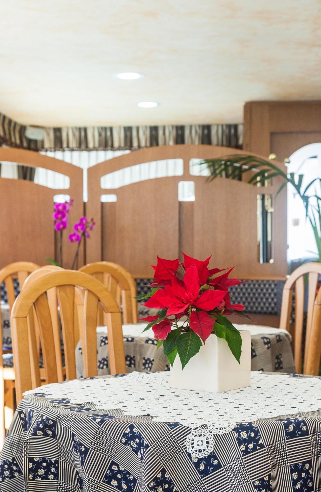 Hotel Edelweiss Con Ristorante Note Di Gusto Forni di Sopra Exterior photo