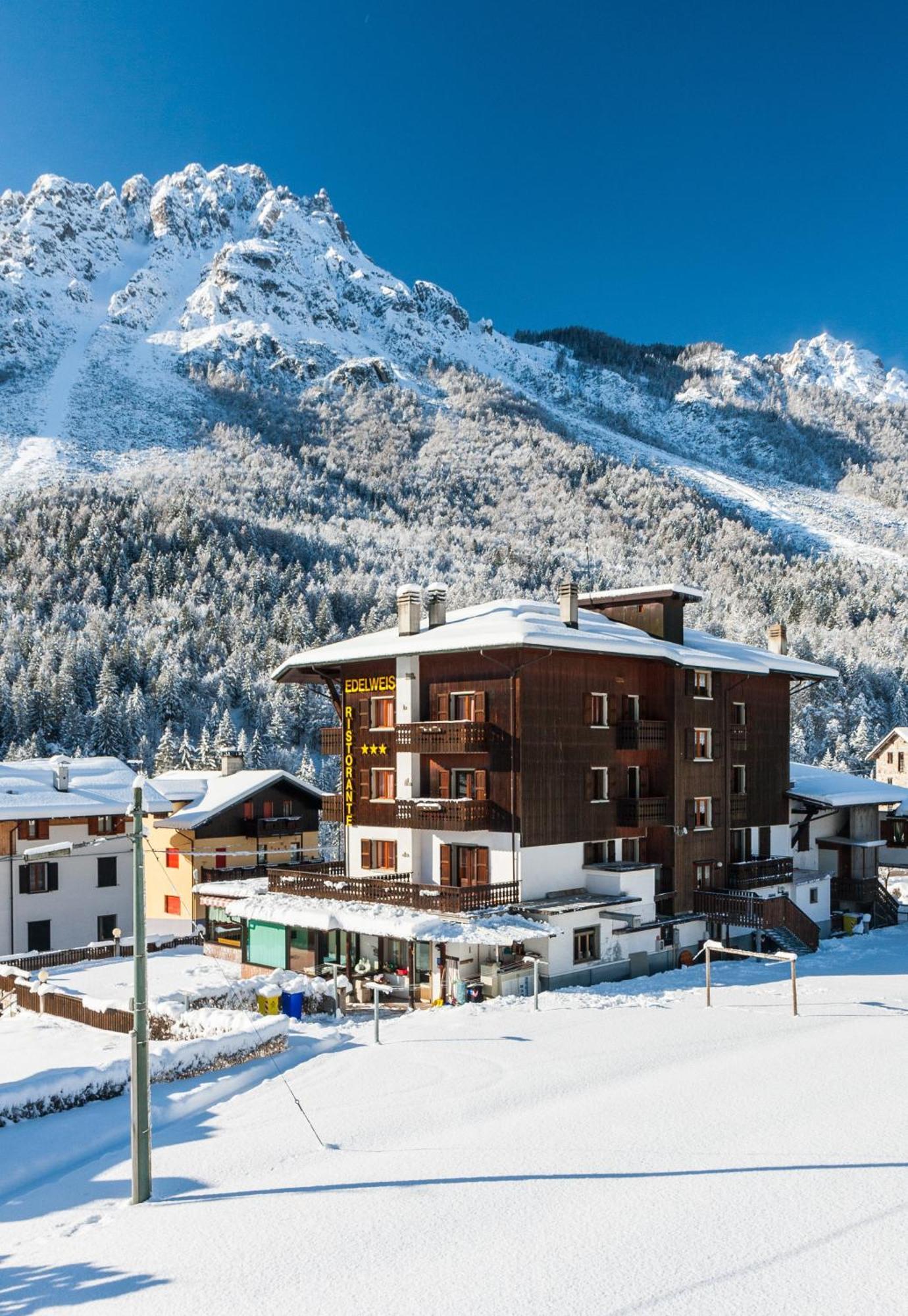 Hotel Edelweiss Con Ristorante Note Di Gusto Forni di Sopra Exterior photo