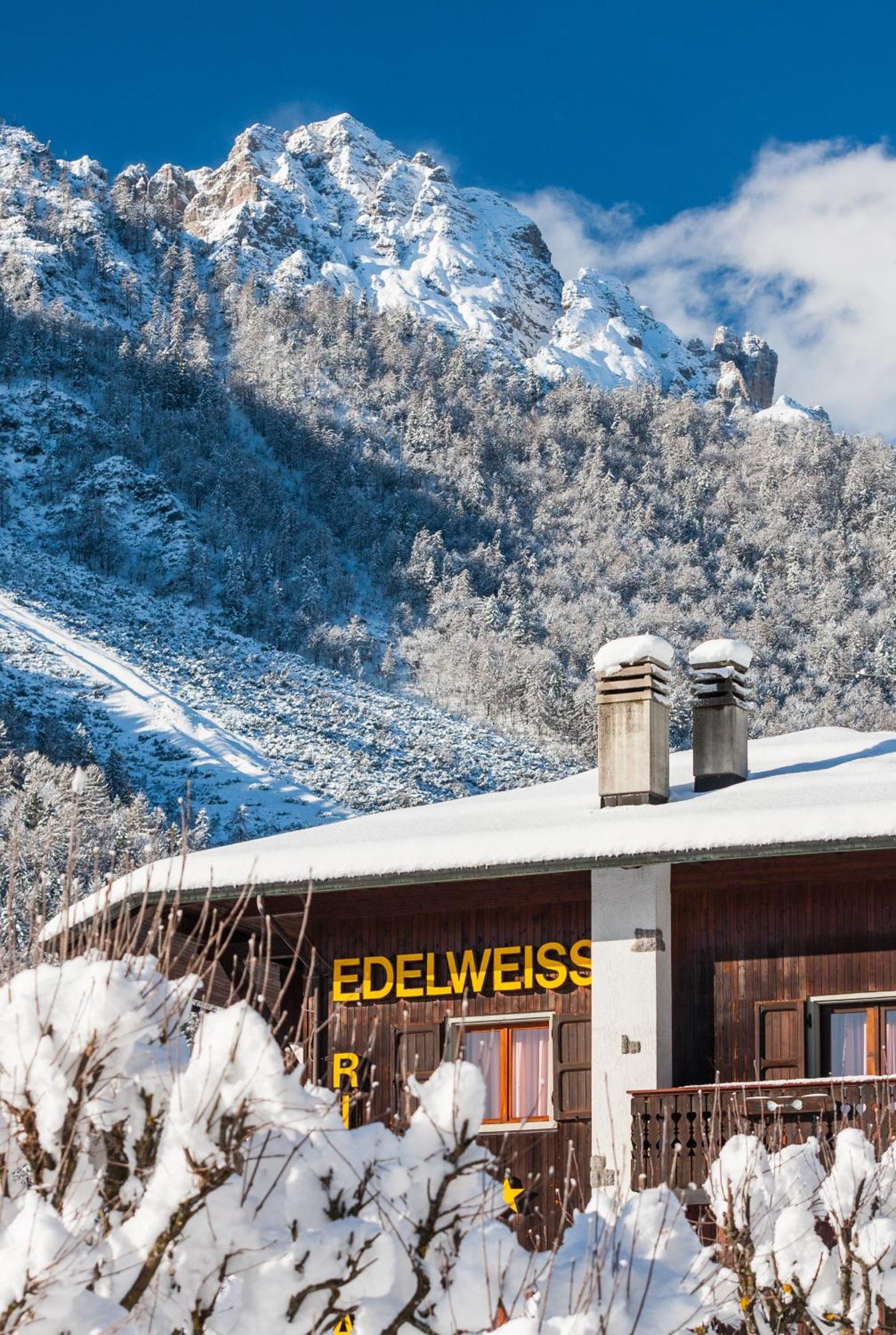 Hotel Edelweiss Con Ristorante Note Di Gusto Forni di Sopra Exterior photo